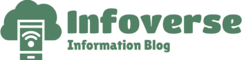 Infoverse Logo